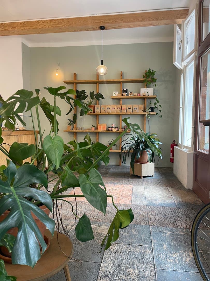 Interior of two dots coffee & pastries, specialty coffee shop in Prague
