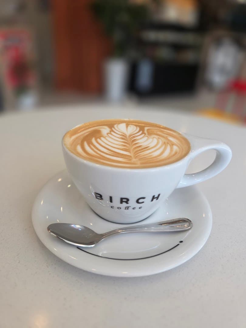 Birch Coffee - specialty coffee shop in Seoul