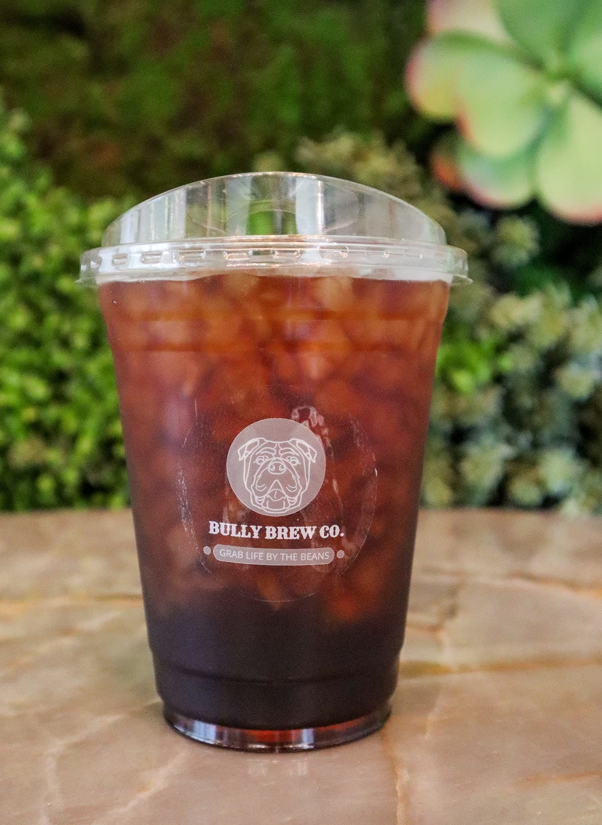 Bully Brew Co. specialty coffee shop in Phoenix - photo 4