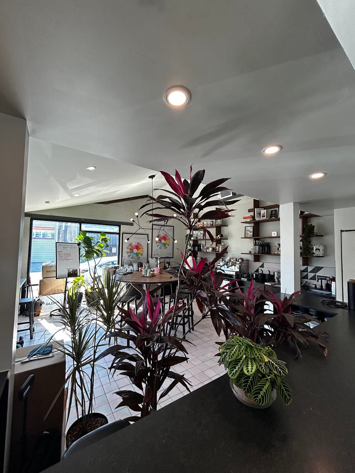 Tenfold Coffee Company - specialty coffee shop in Houston