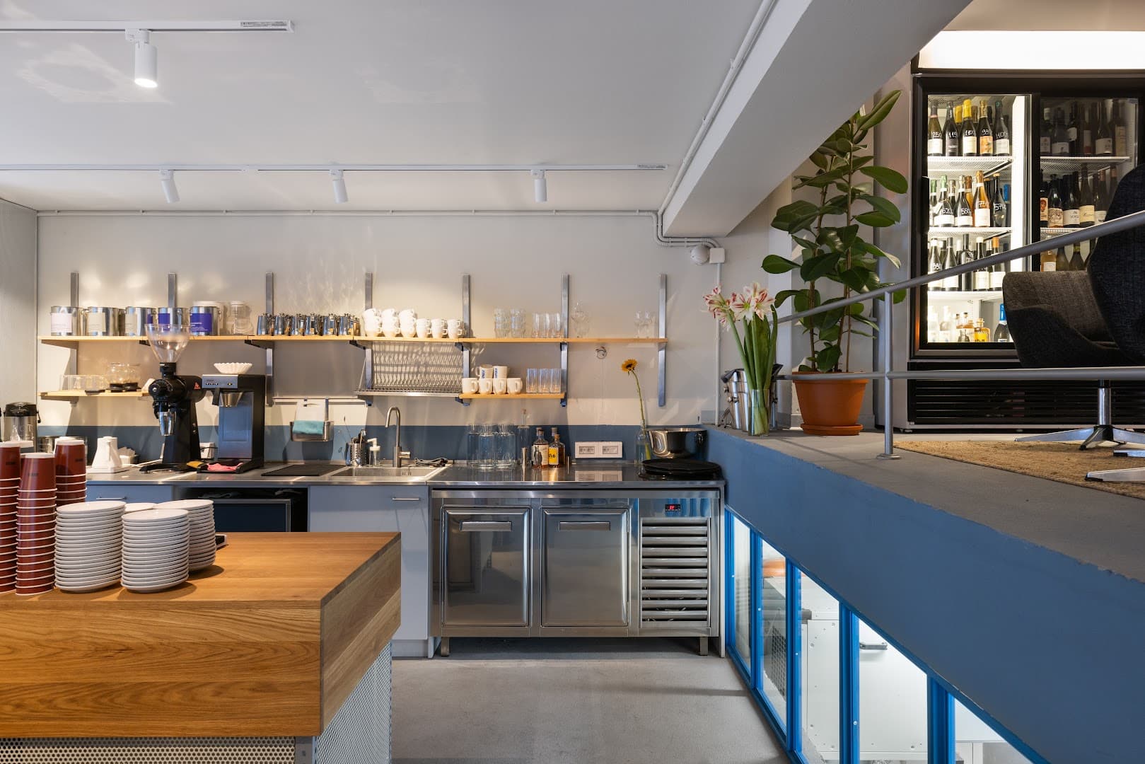 Interior of Sonder Vračar, specialty coffee shop in Belgrade