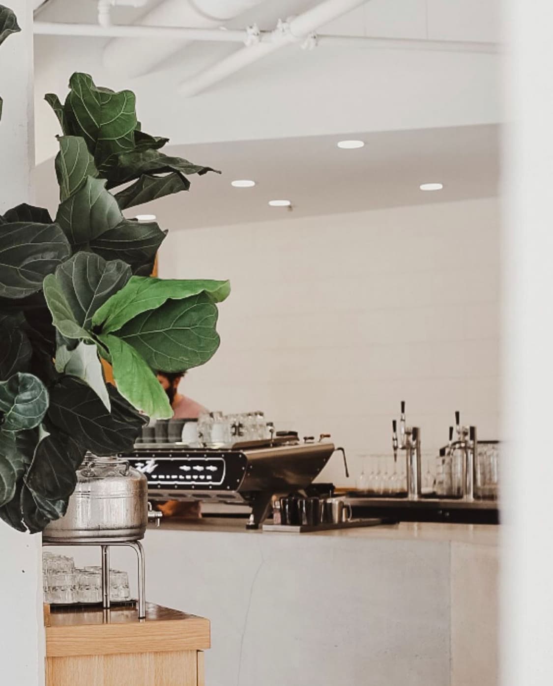 Deeply Coffee Company - specialty coffee shop in Central Business District