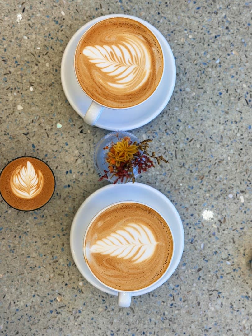 Dart Coffee Co - specialty coffee shop in Santa Barbara
