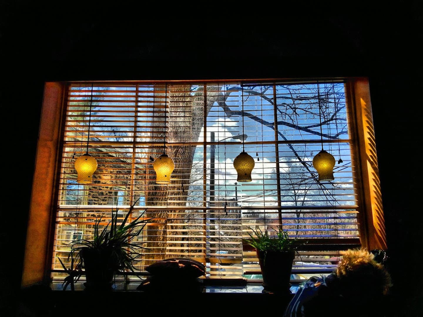 Interior of Chestnut Hill Coffee Co, specialty coffee shop in Philadelphia