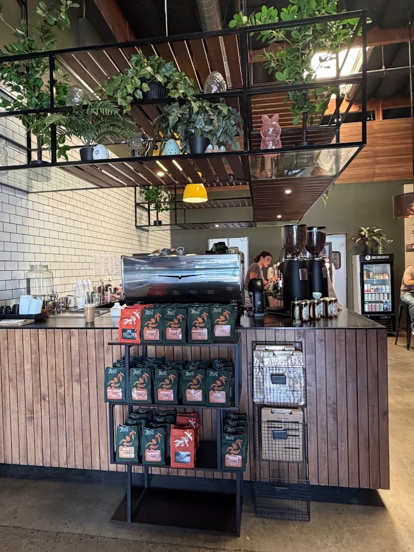 Jaunt Coffee Roasters - specialty coffee shop in San Diego