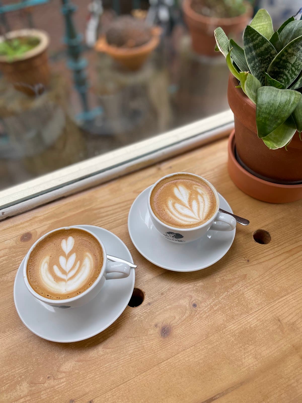 Back to Black - specialty coffee shop in Amsterdam