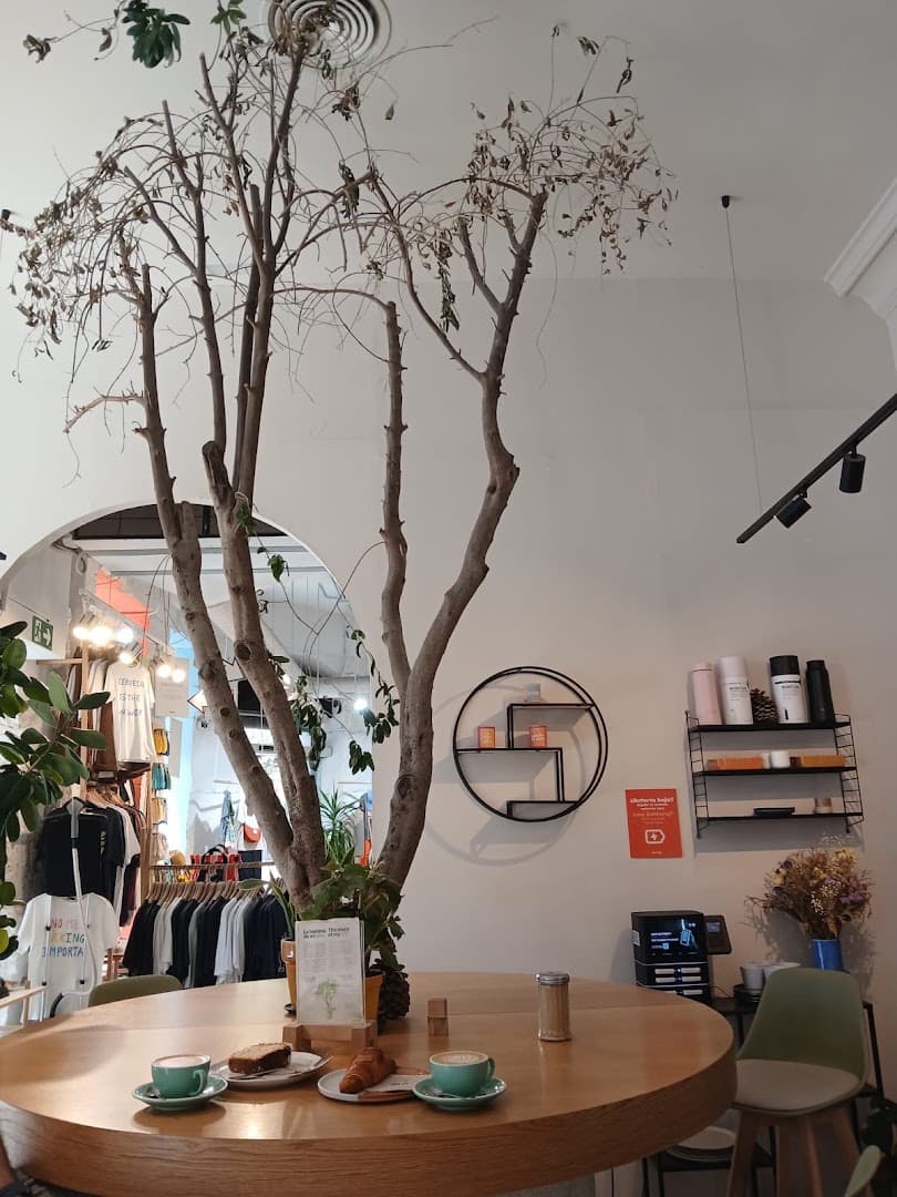 BRUTAL specialty coffee shop in Madrid - photo 8