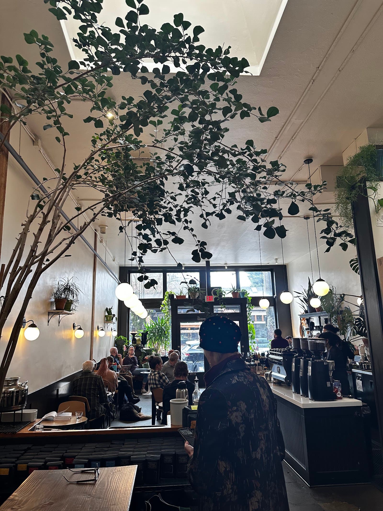 Sterling Coffee Roasters specialty coffee shop in Portland - photo 13