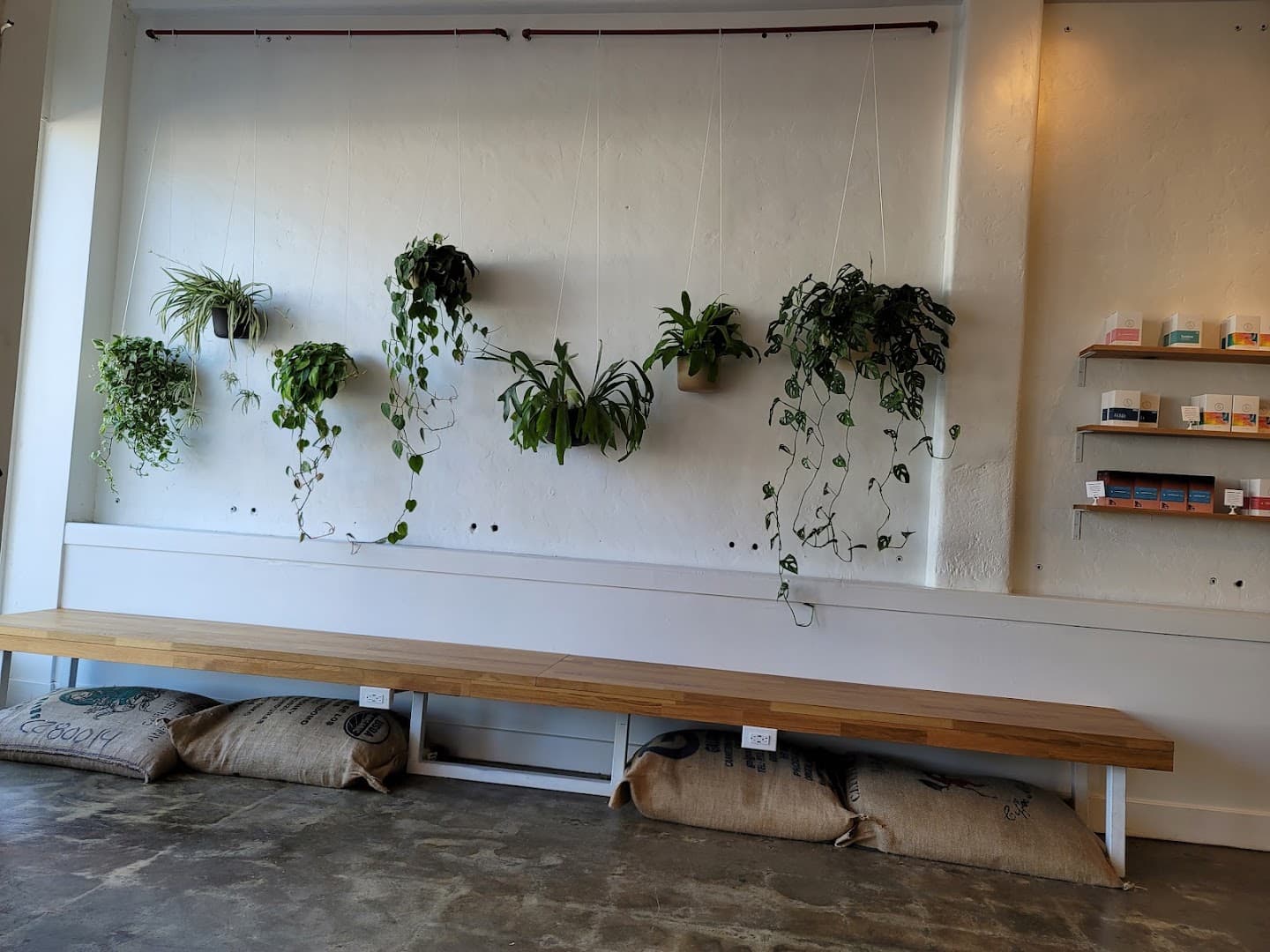 Coffee & Tea Collective - specialty coffee shop in San Diego