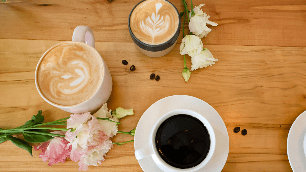 Plant Bar - Coffee and Tea - specialty coffee shop in South Slope Brewing District