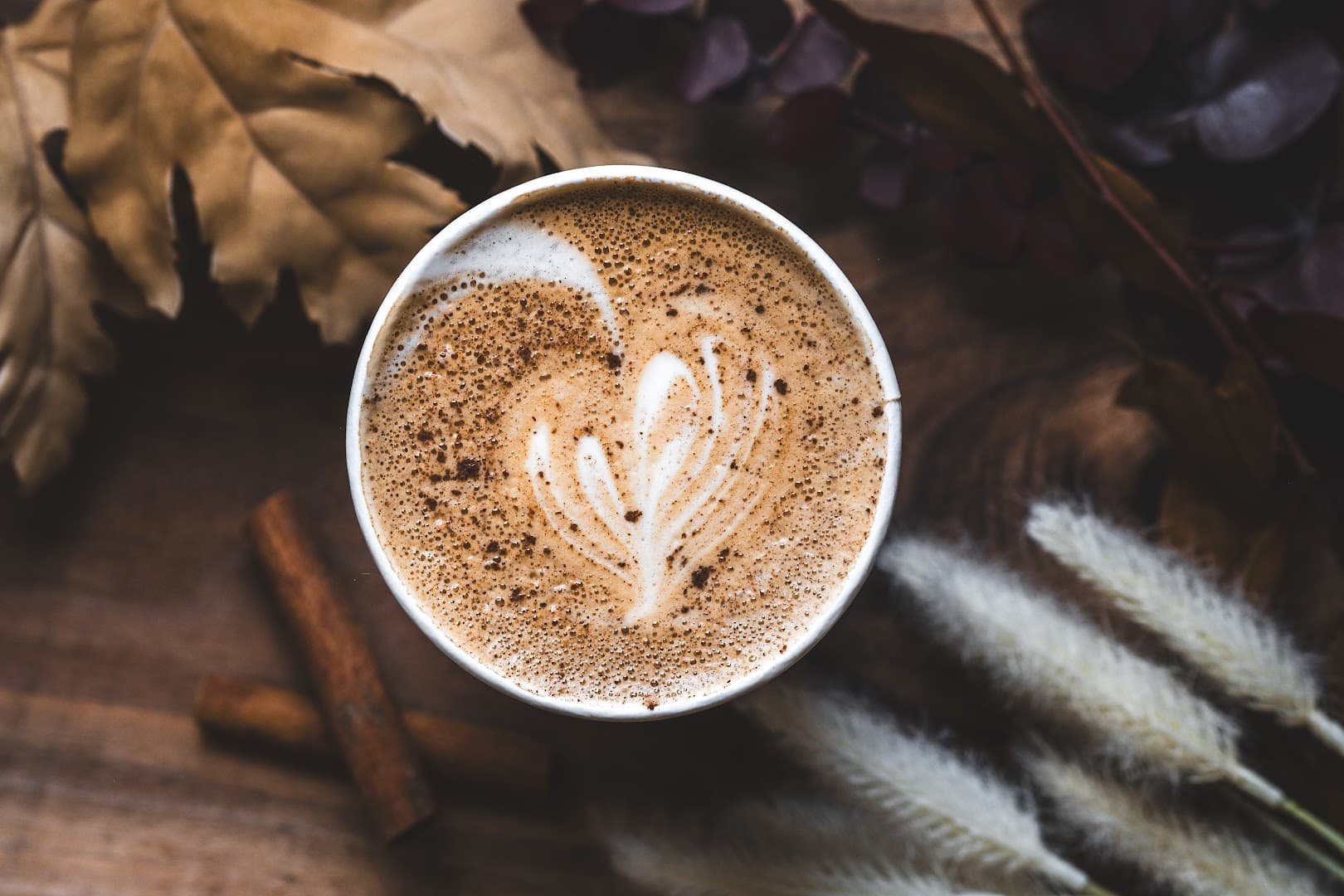 Coffee at Stories Coffee Company, specialty coffee shop in Omaha