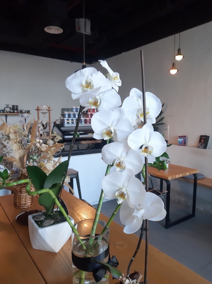 20 Grams - specialty coffee shop in Dubai