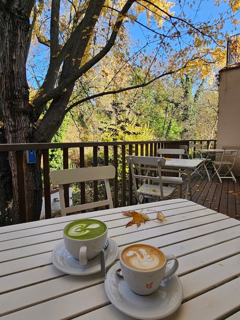 Kavárna Nový Svět - specialty coffee shop in Prague
