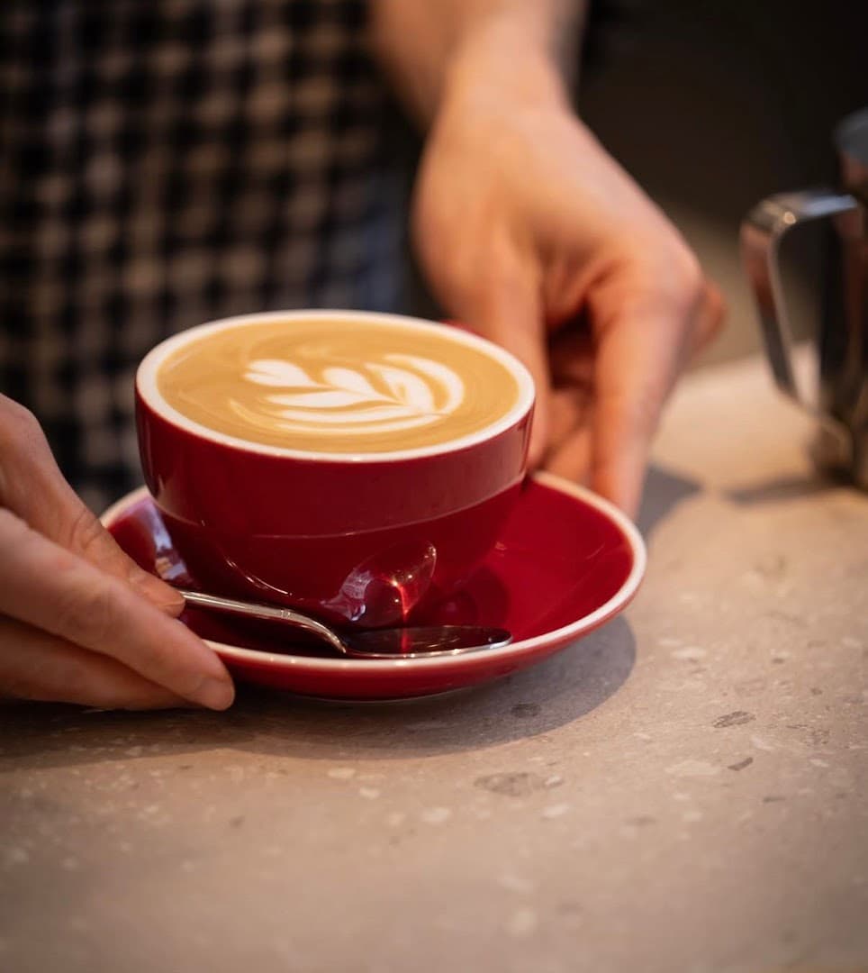 Junta Café - Specialty coffee - specialty coffee shop in Madrid
