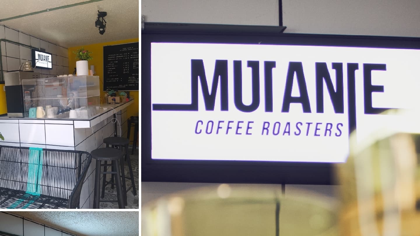Interior of Mutante tostadores de café, specialty coffee shop in Mexico City