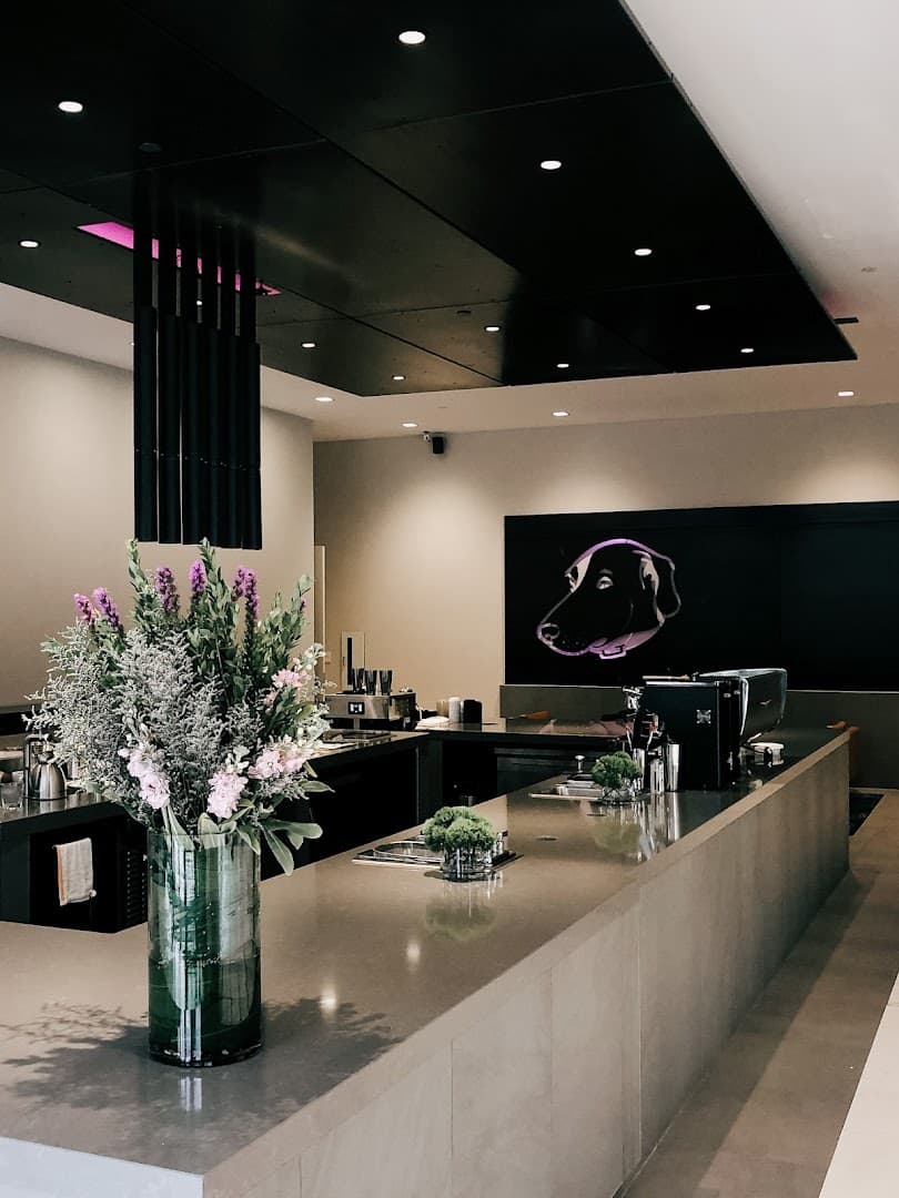 Buddy Brew Coffee - specialty coffee shop in Tampa-St. Petersburg