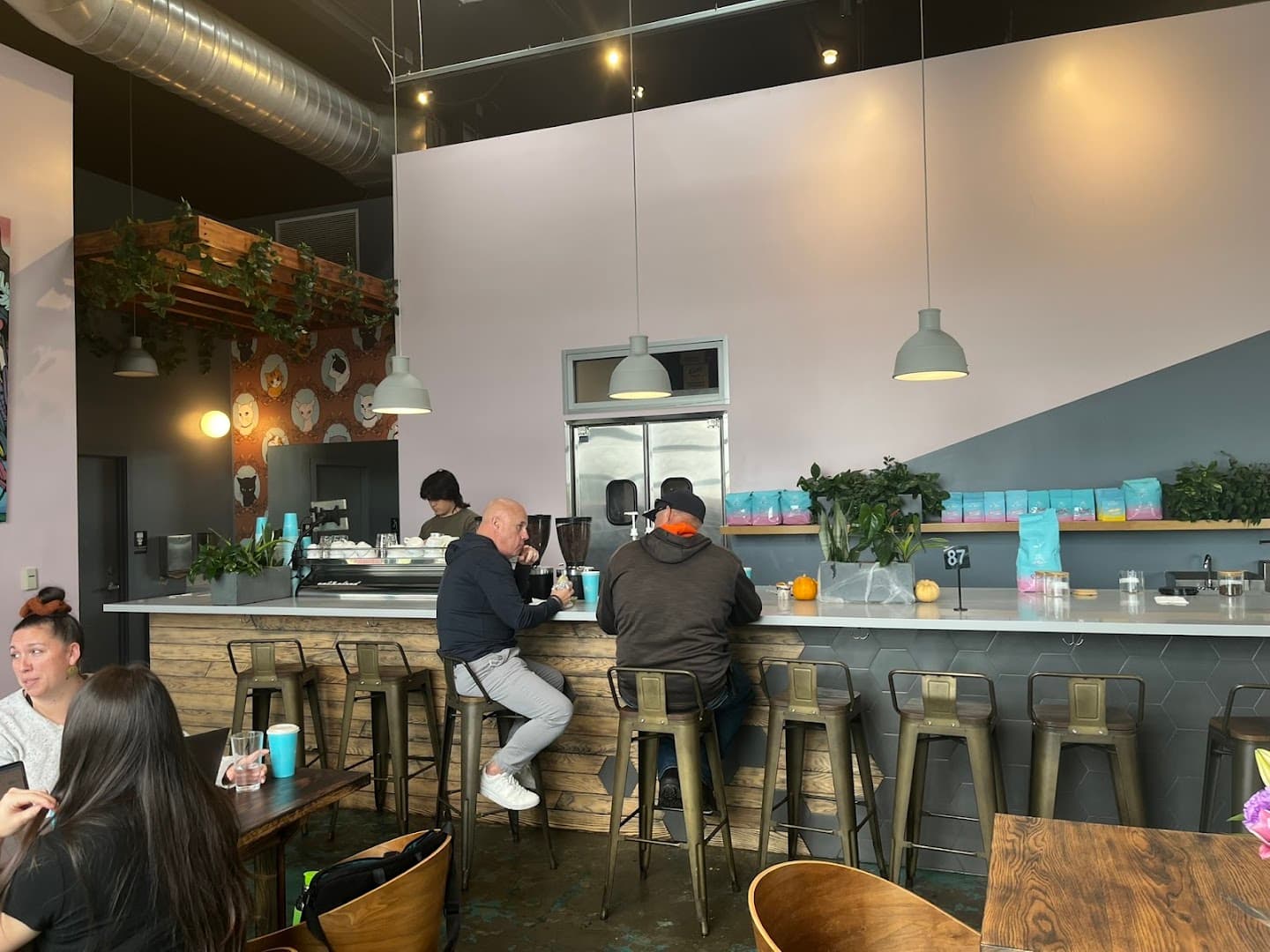 Cat & Cloud Coffee - specialty coffee shop in Santa Cruz