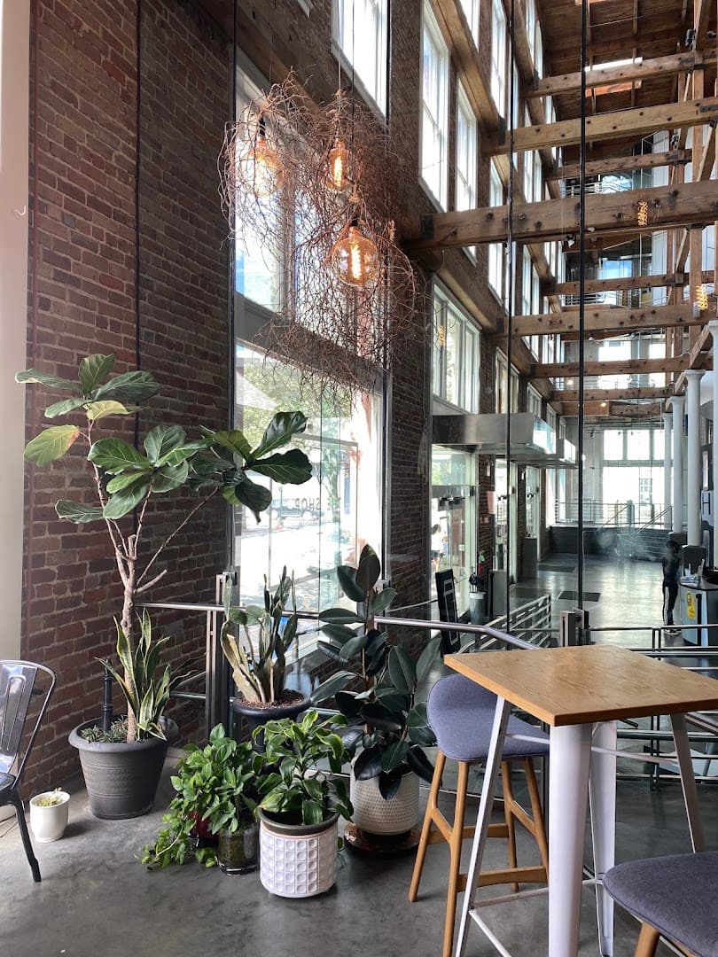Mr Wolf Espresso - specialty coffee shop in New Orleans