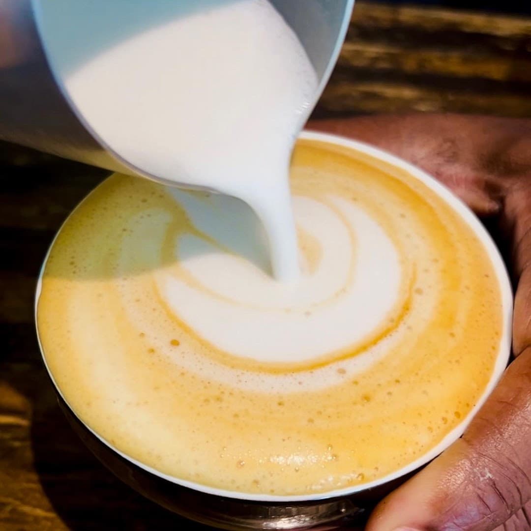 Hogg Batch Coffee Roastery - specialty coffee shop in Tampa-St. Petersburg