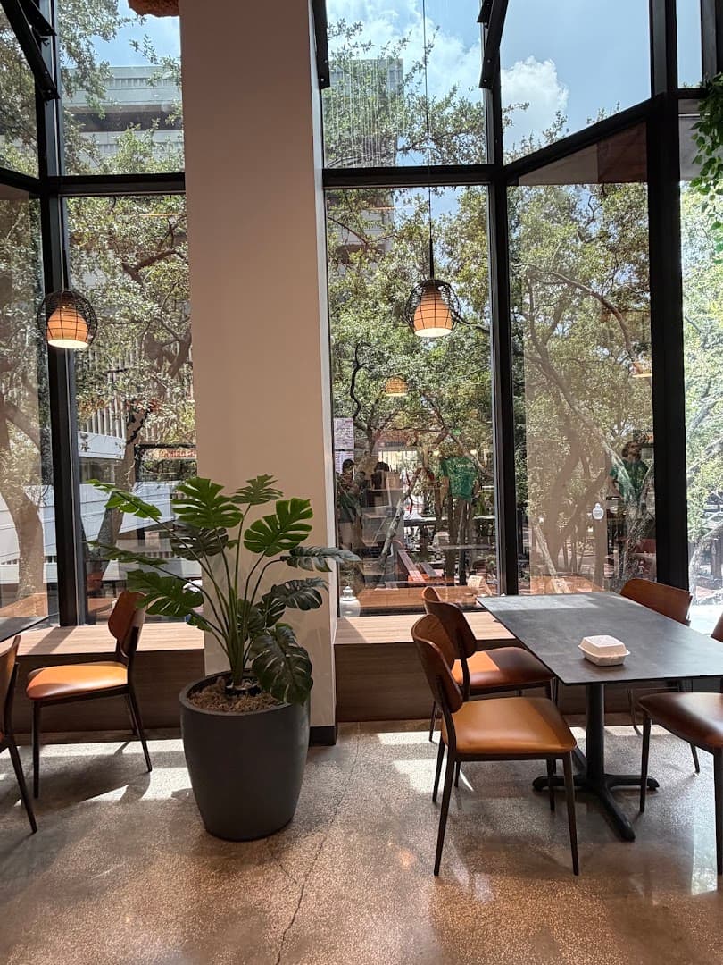 Blind Tiger Coffee Roasters — specialty coffee in Tampa-St. Petersburg