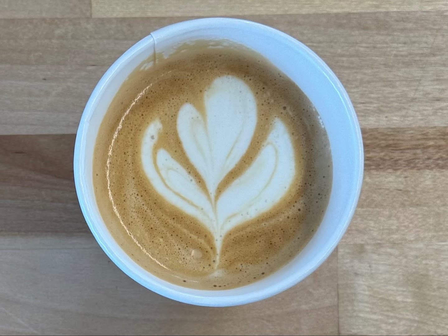 Little House Roc - specialty coffee shop in Rochester