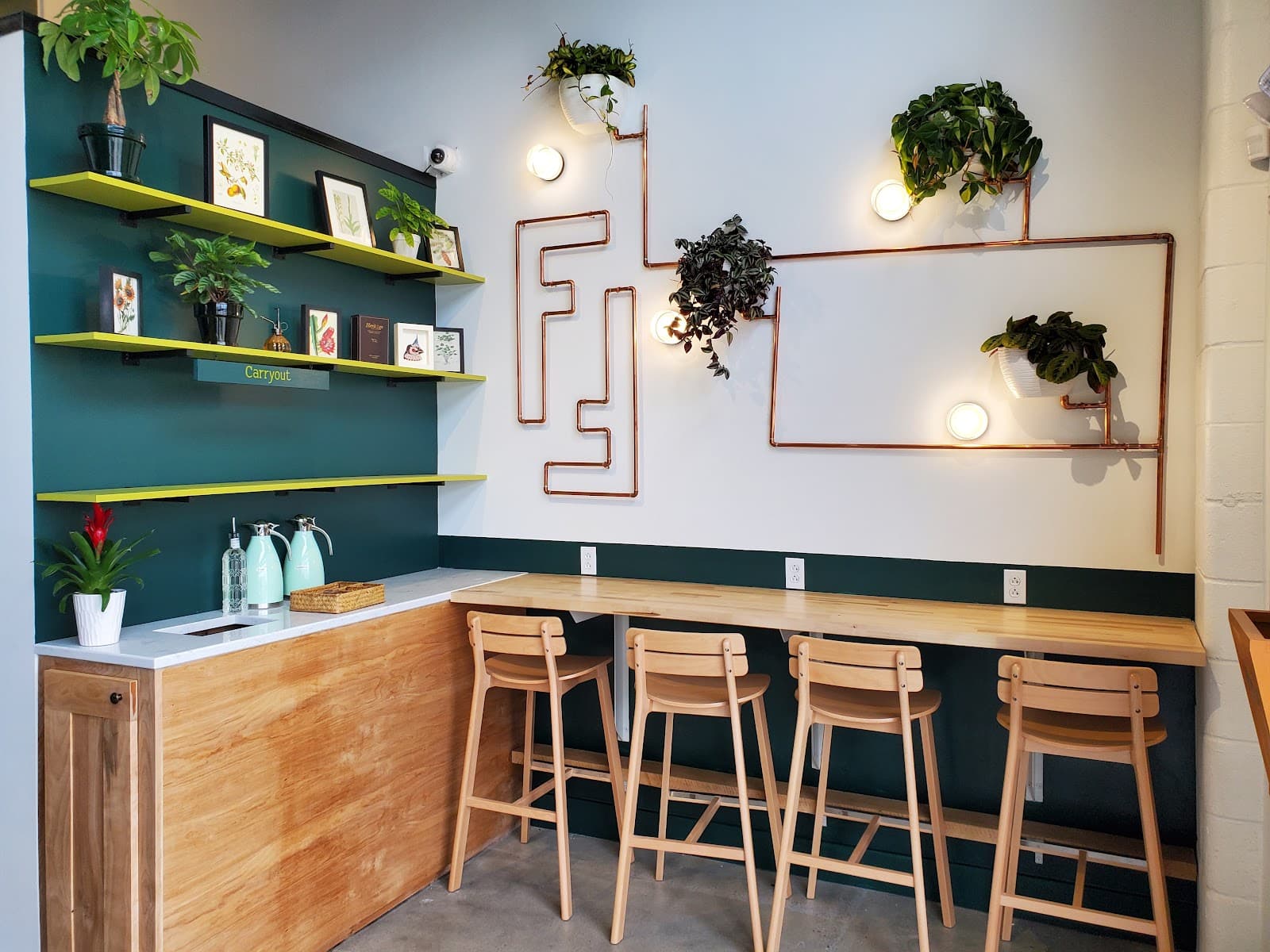 Flora + Fauna Cafe and Roaster - specialty coffee shop in Nashville