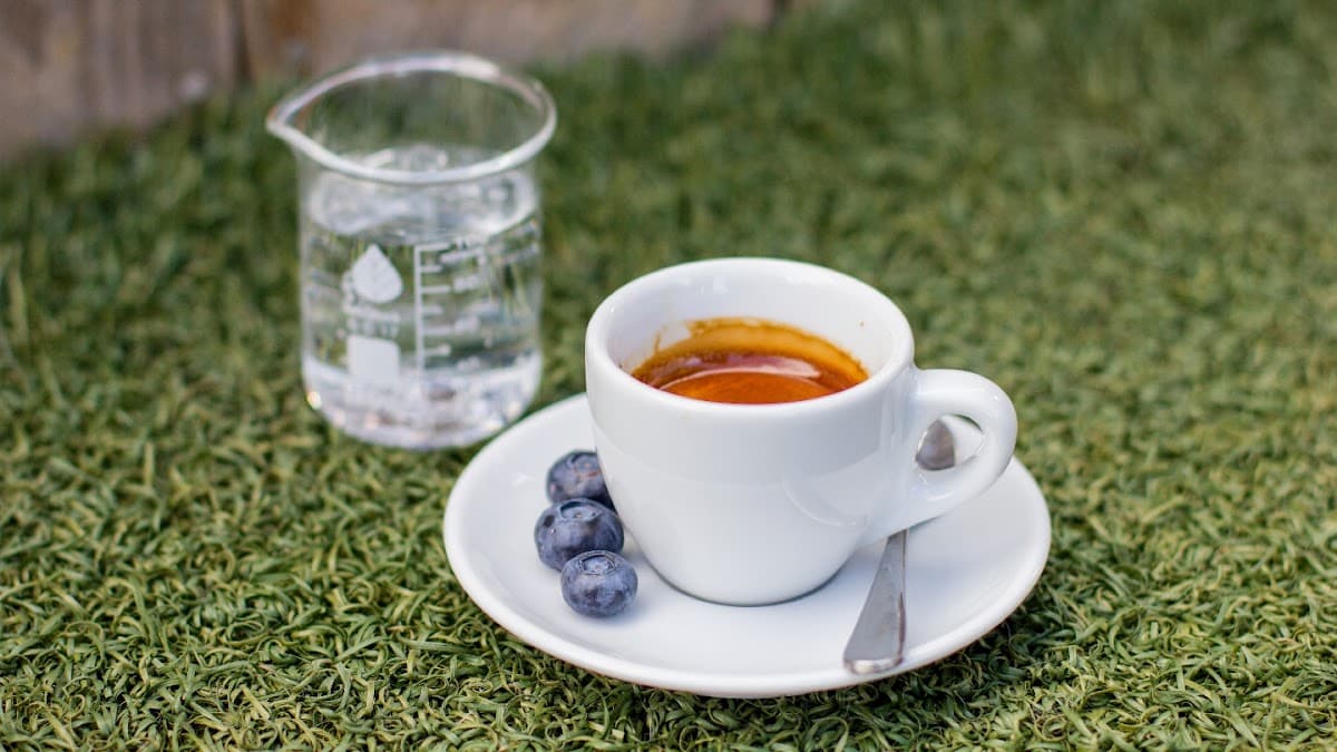 SPRO - Mission Dolores/Castro - specialty coffee shop in Mission Dolores