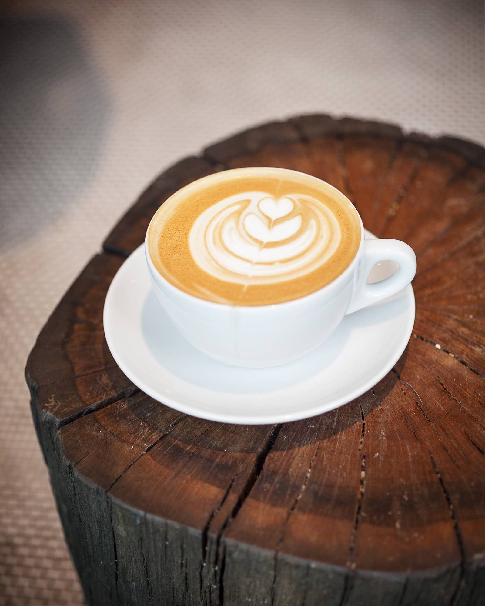 Pavement Coffeehouse - Allston - specialty coffee shop in Boston