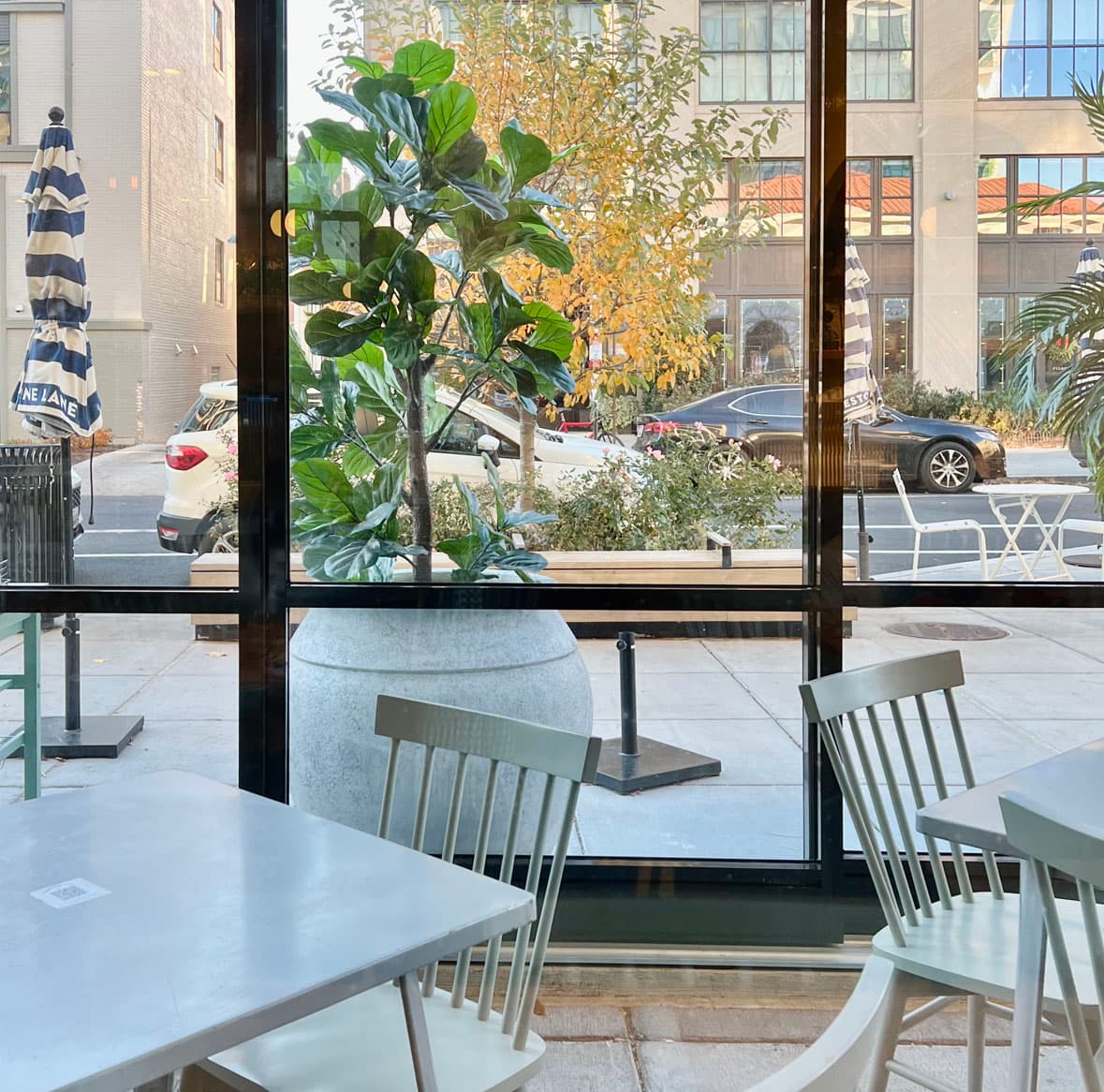 Bluestone Lane Logan Circle Café - specialty coffee shop in Washington, D.C.