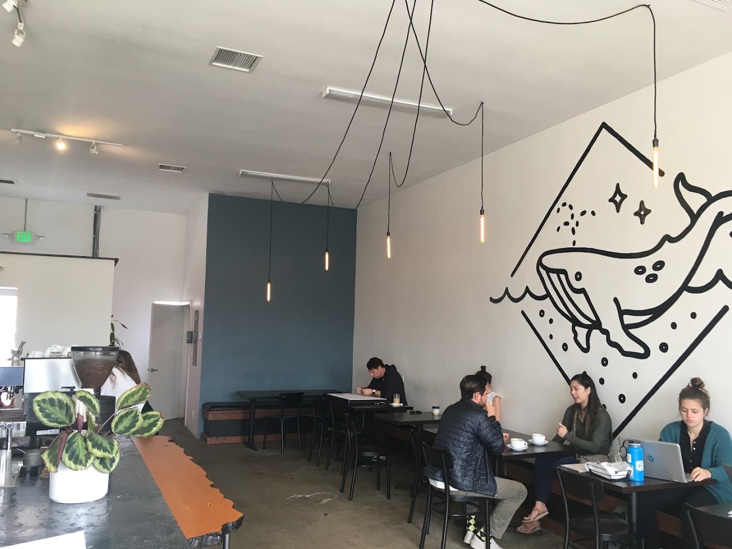 Scrimshaw Coffee - specialty coffee shop in San Diego