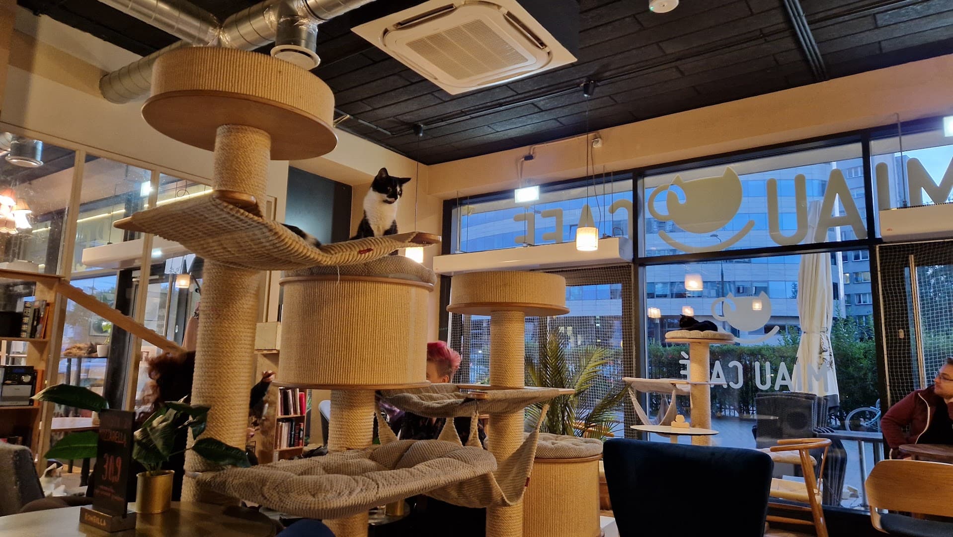 Interior of Miau Cafe, specialty coffee shop in Warsaw