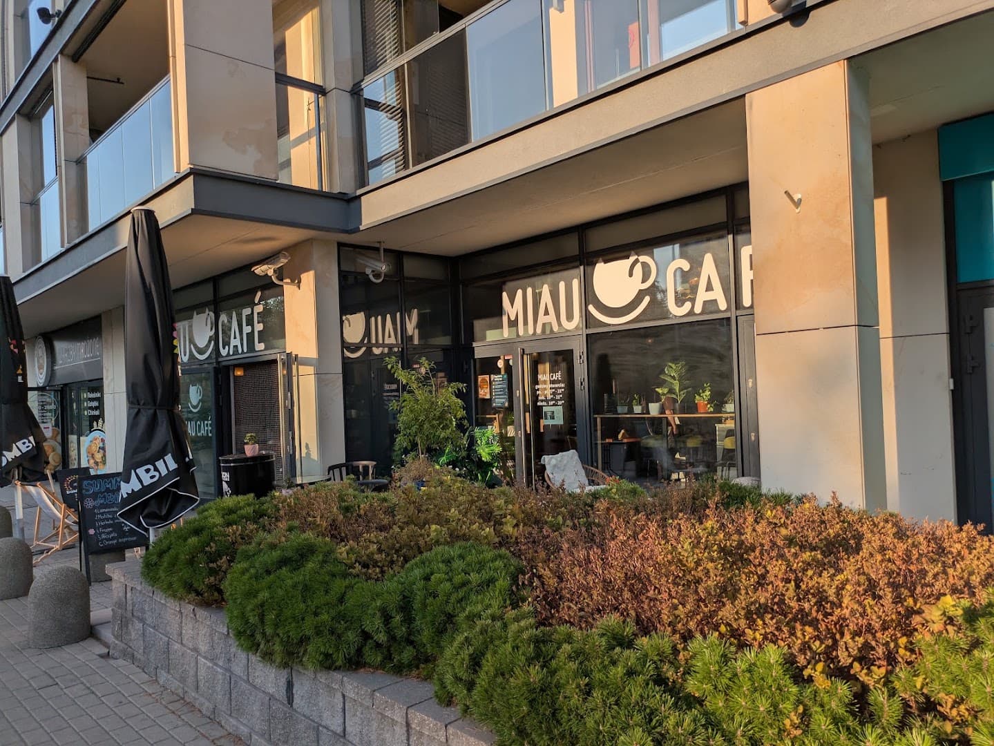 Storefront of Miau Cafe, specialty coffee shop in Warsaw