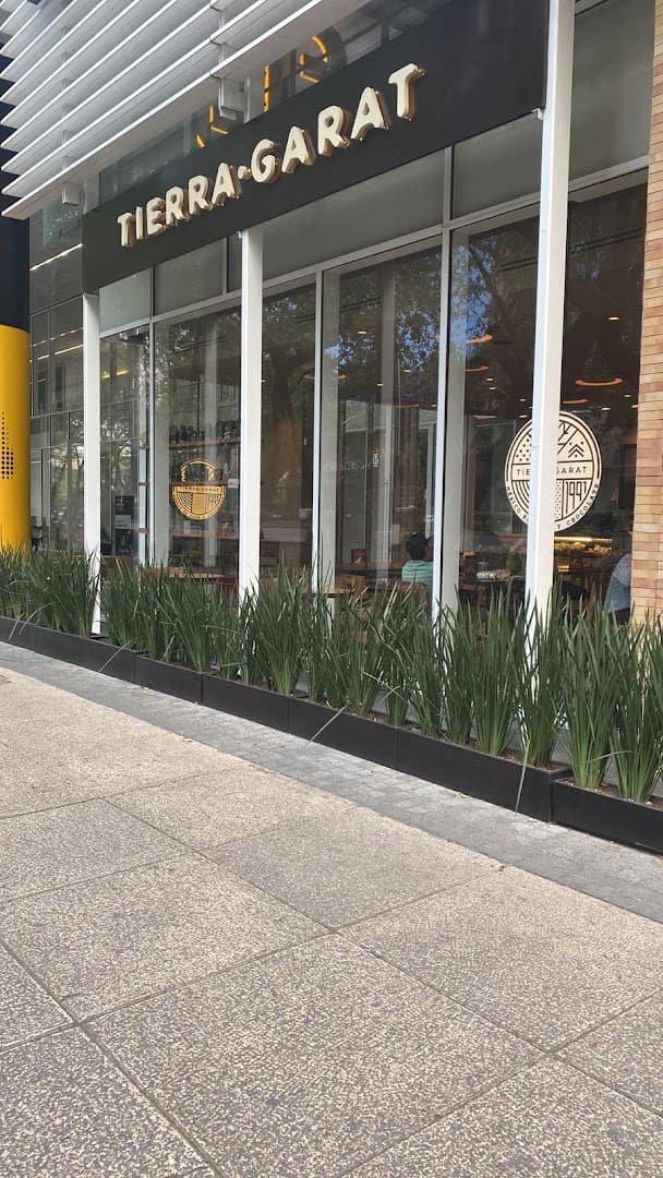 Tierra Garat - specialty coffee shop in Mexico City