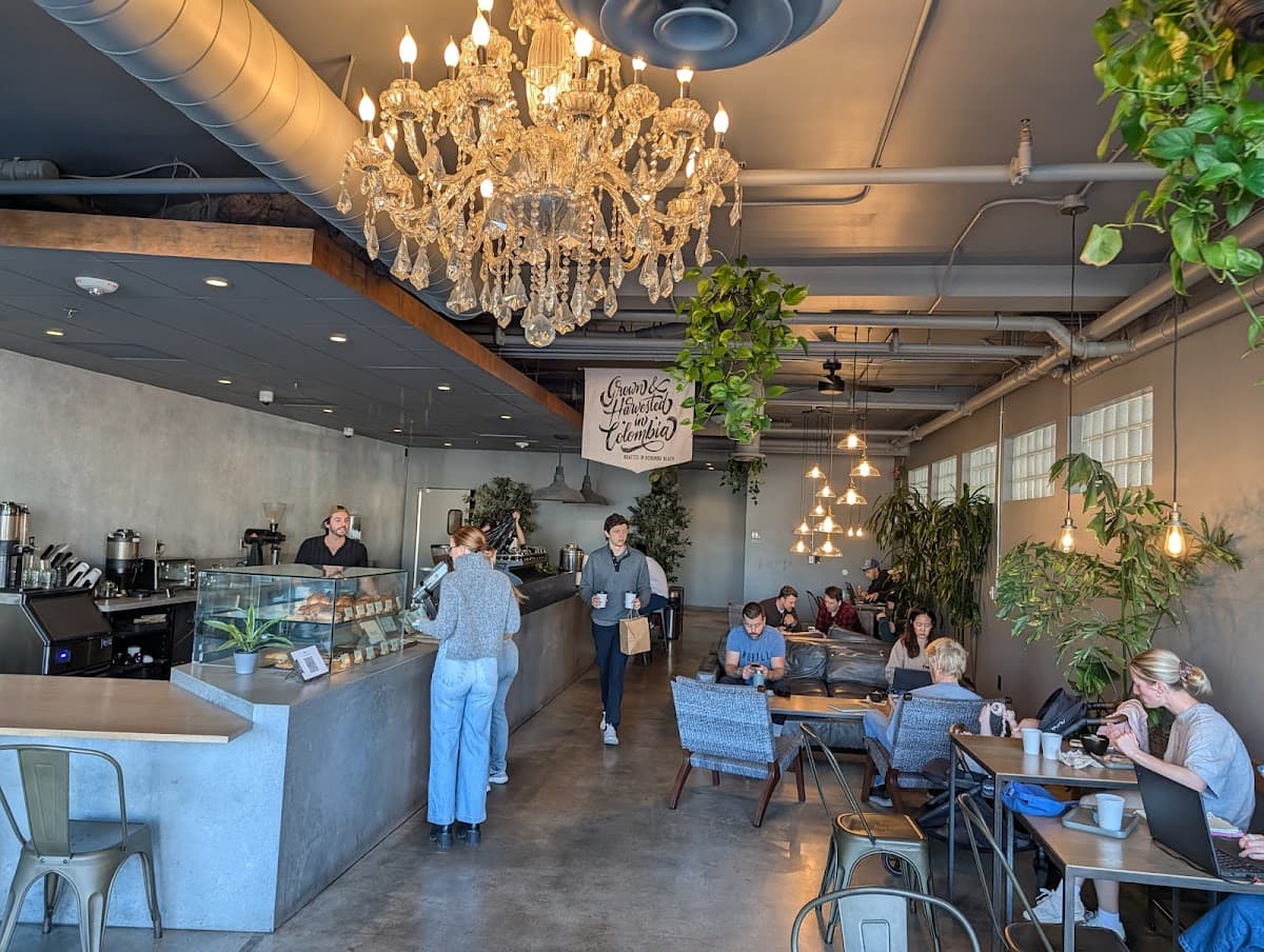 The Boy & The Bear - Coffee Roastery - specialty coffee shop in Los Angeles