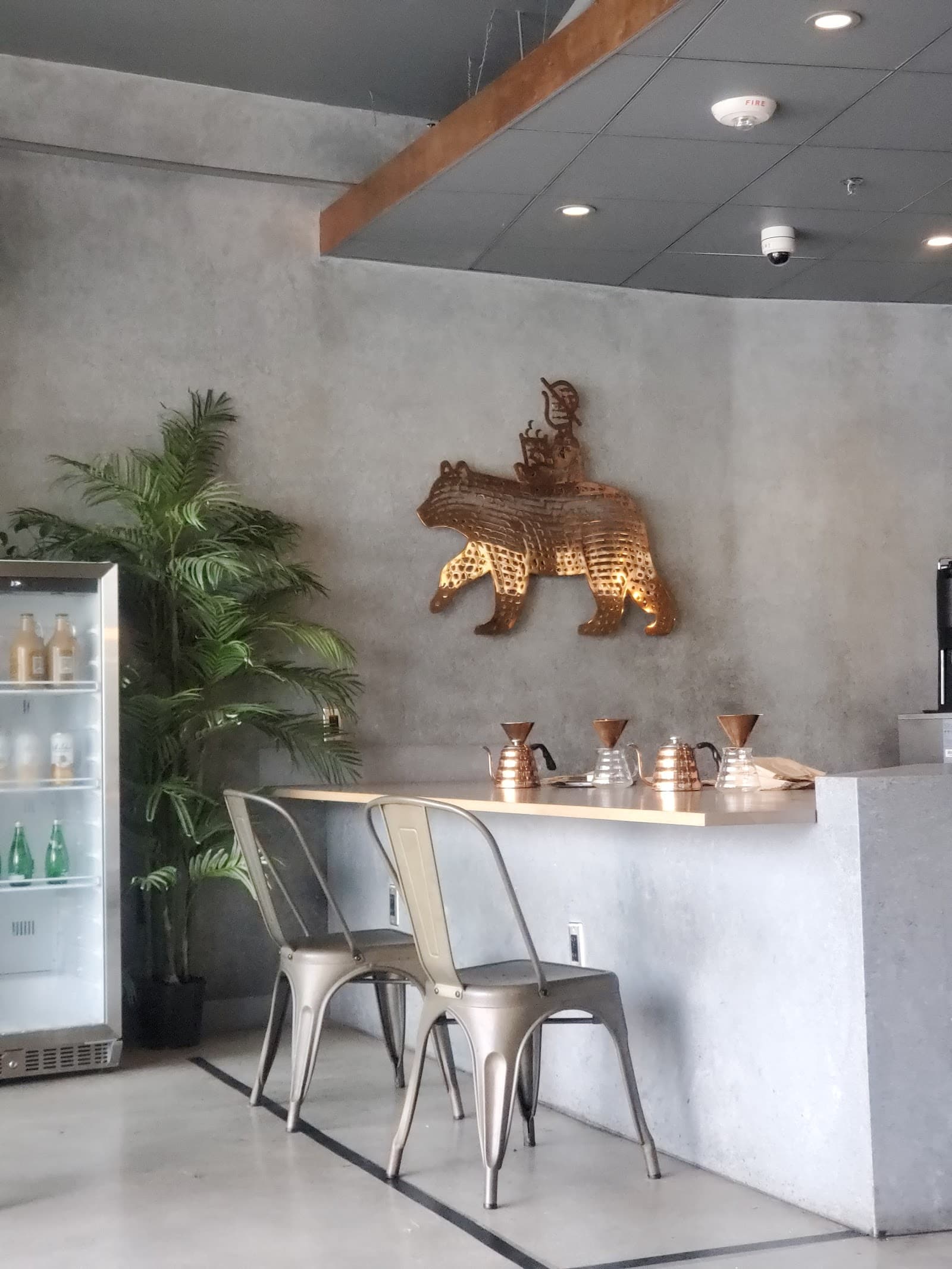 The Boy & The Bear - Coffee Roastery specialty coffee shop in Los Angeles - photo 8