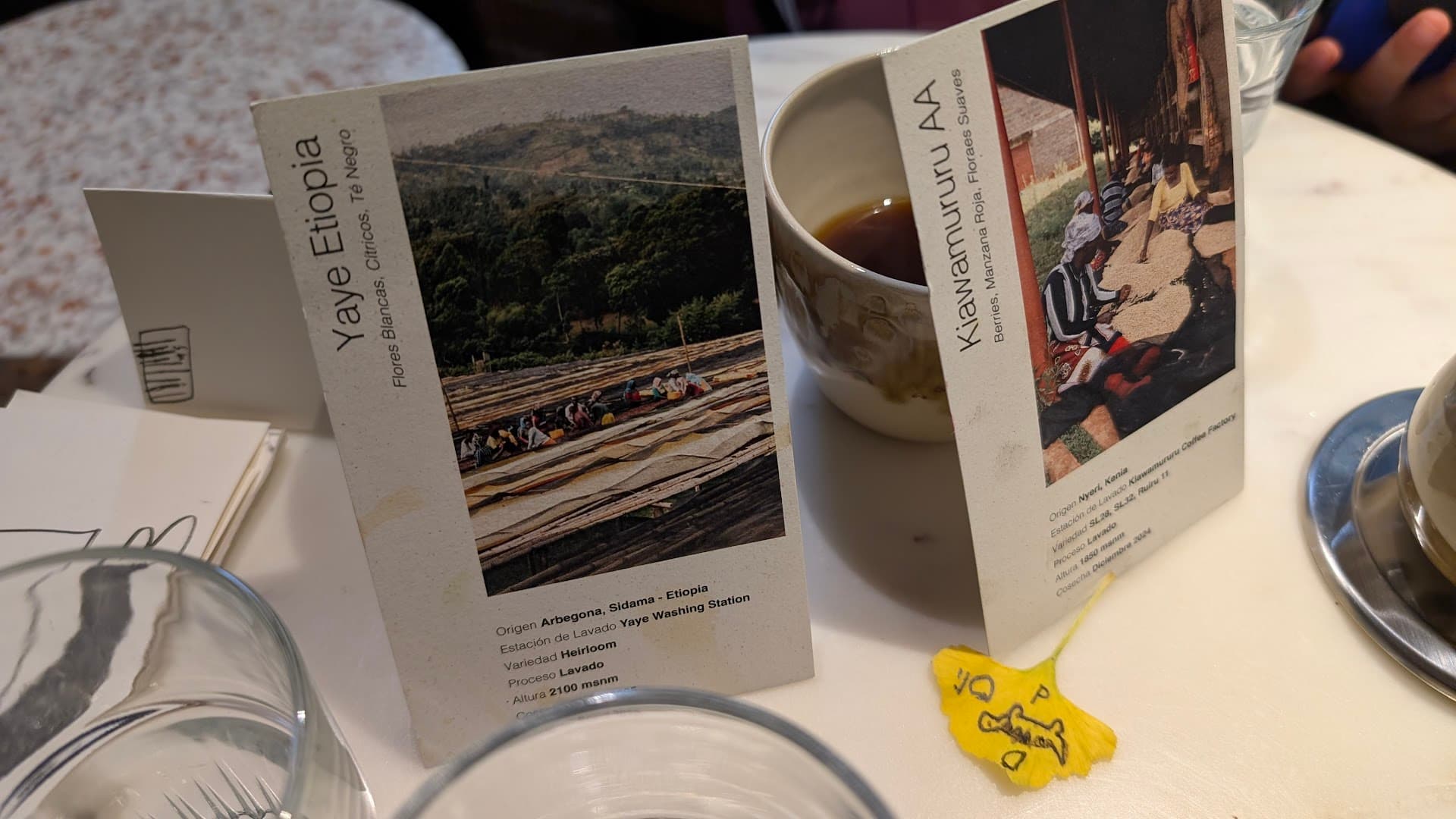 Amauta Coffee Bar: Travessera de Gràcia specialty coffee shop in Barcelona - photo 12