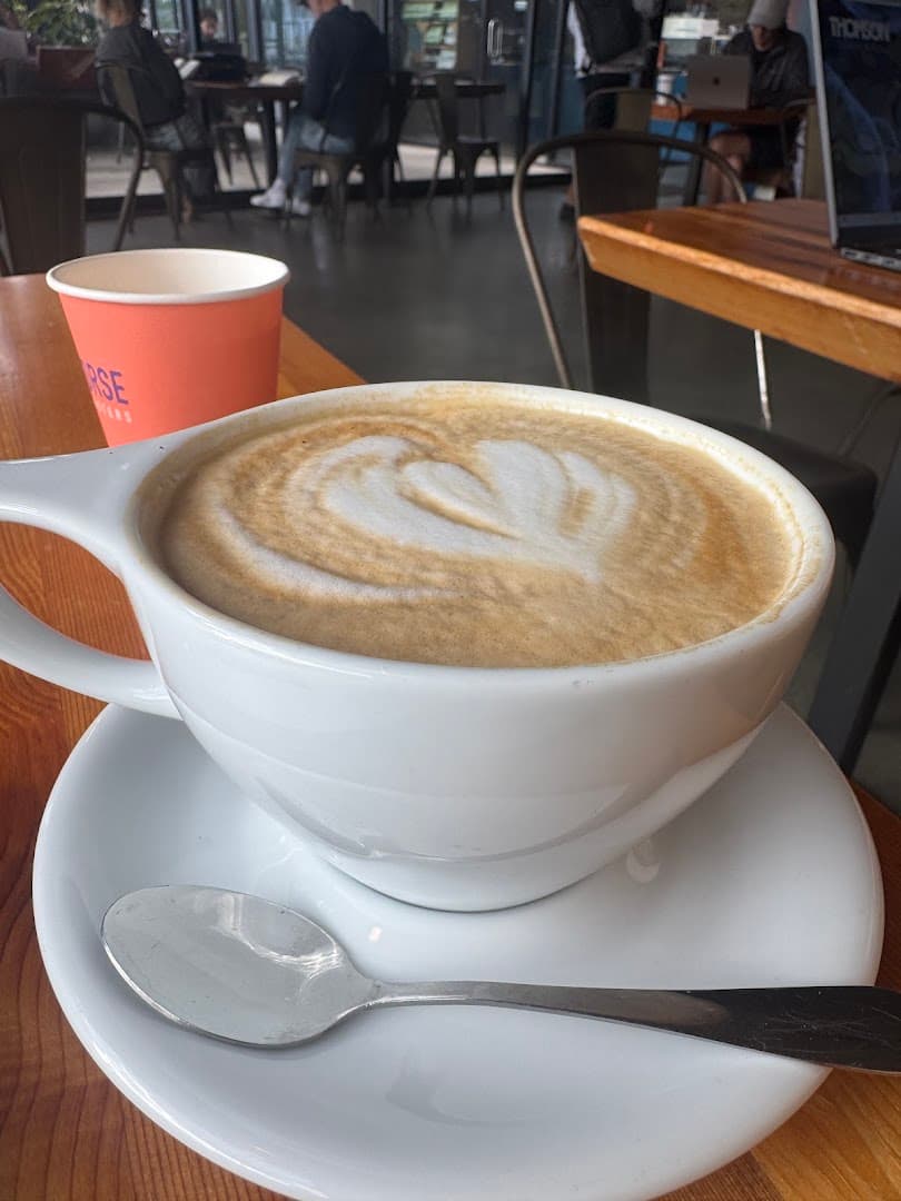 Dark Horse Coffee Roasters - specialty coffee shop in San Diego