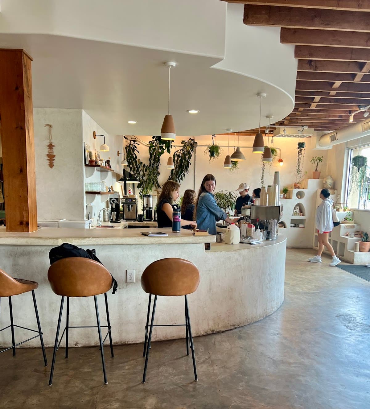 Palomino Coffee - specialty coffee shop in MLK