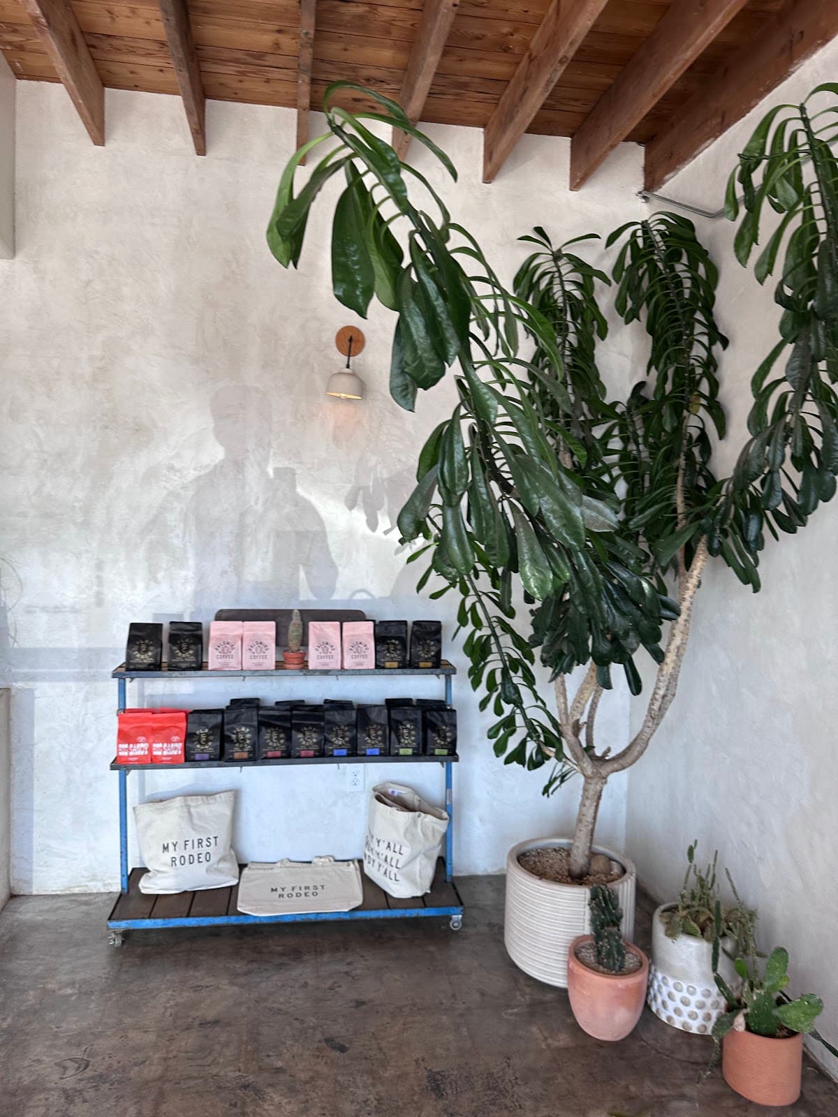 Palomino Coffee - specialty coffee shop in MLK