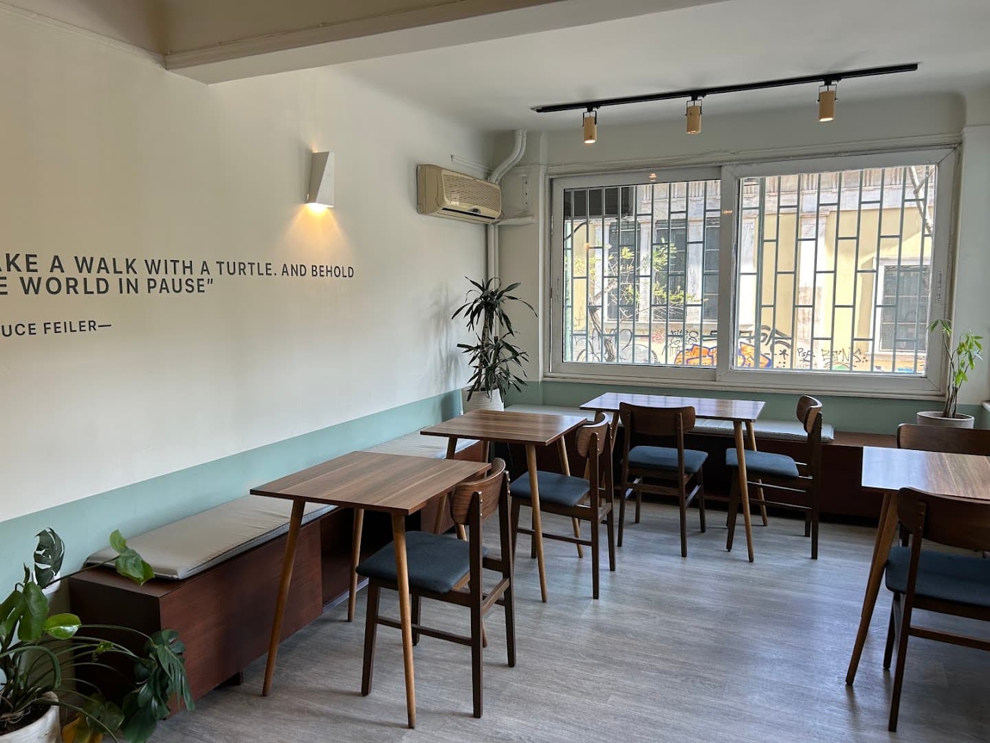 Interior of White Turtle Coffeehouse, specialty coffee shop in Athens