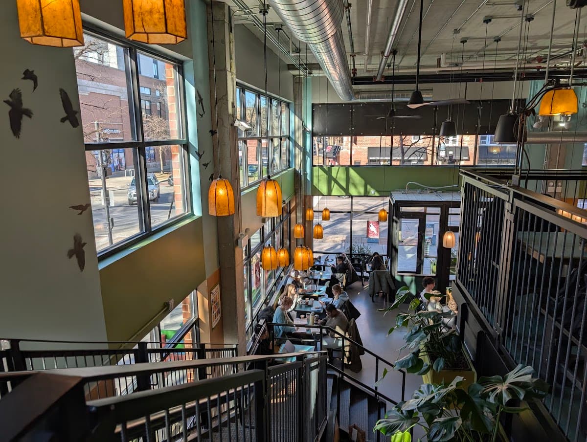 Colectivo Coffee Ravenswood specialty coffee shop in Chicago - photo 4