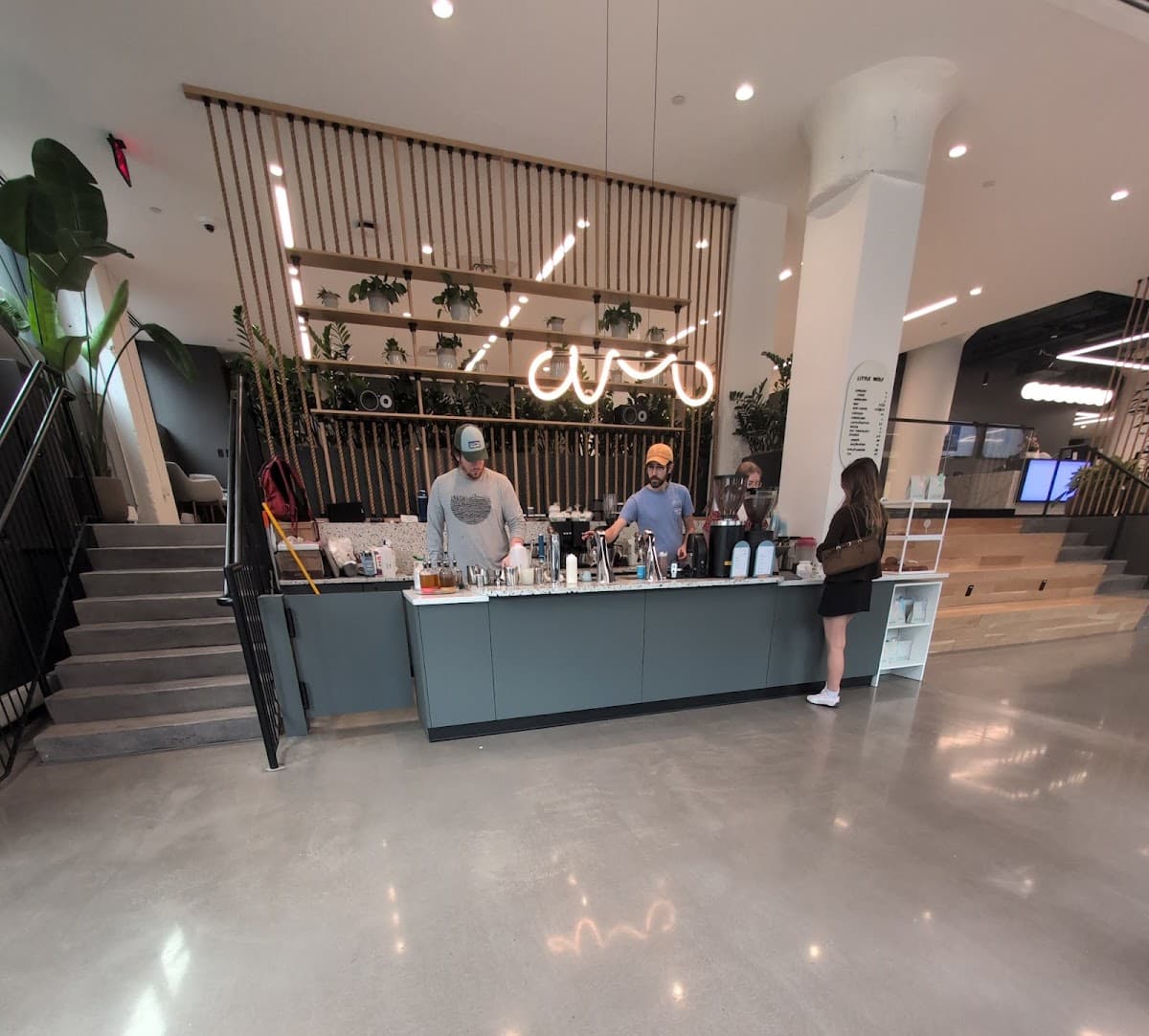Little Wolf Coffee - specialty coffee shop in Boston