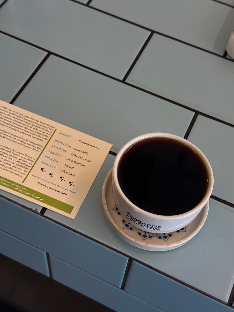 Probador Colectiva Cafe - specialty coffee shop in Istanbul