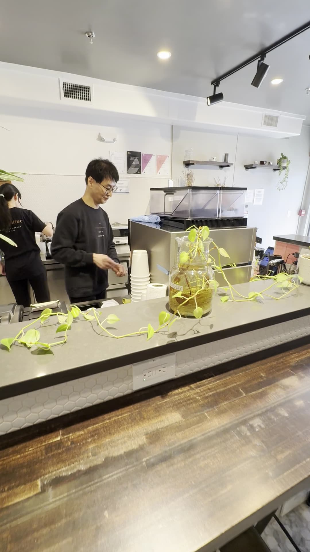 Interior of Jejes Coffee, specialty coffee shop in Boston