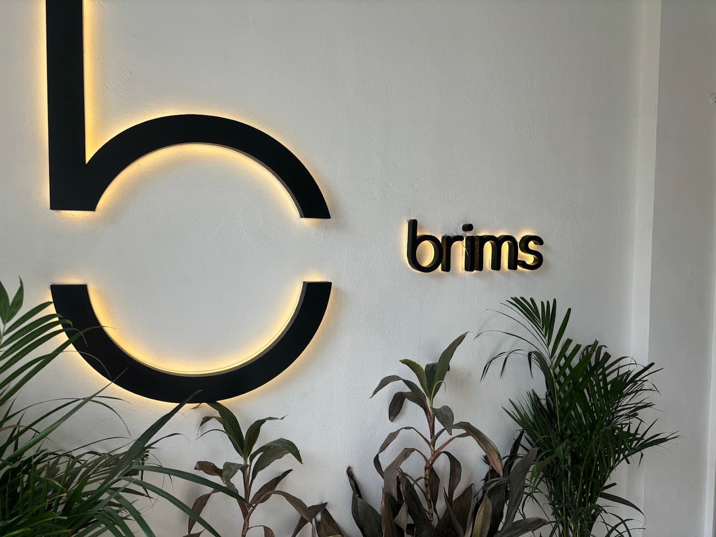 Brims - specialty coffee shop in Delhi