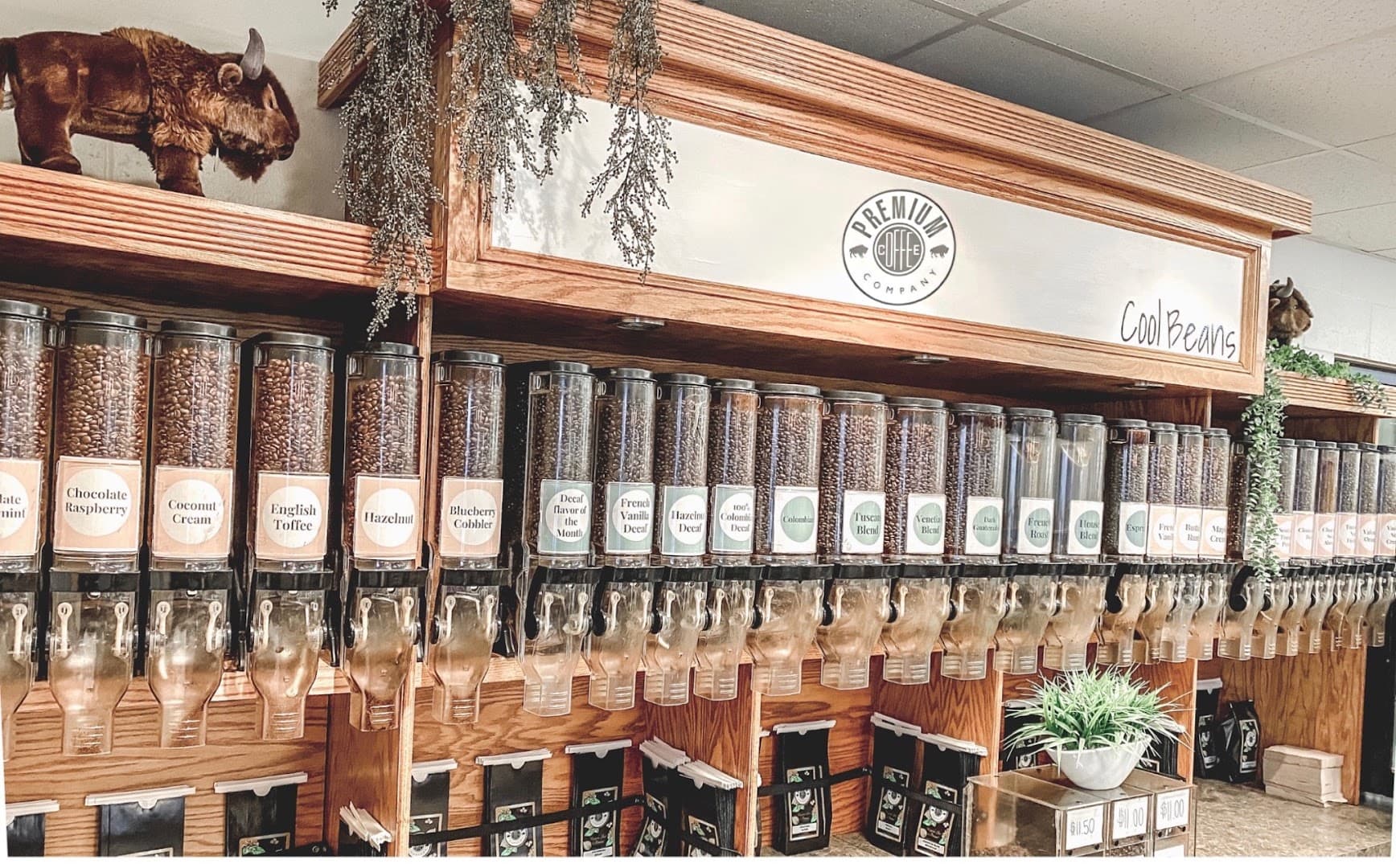 Interior of Premium Coffee Company, specialty coffee shop in Buffalo