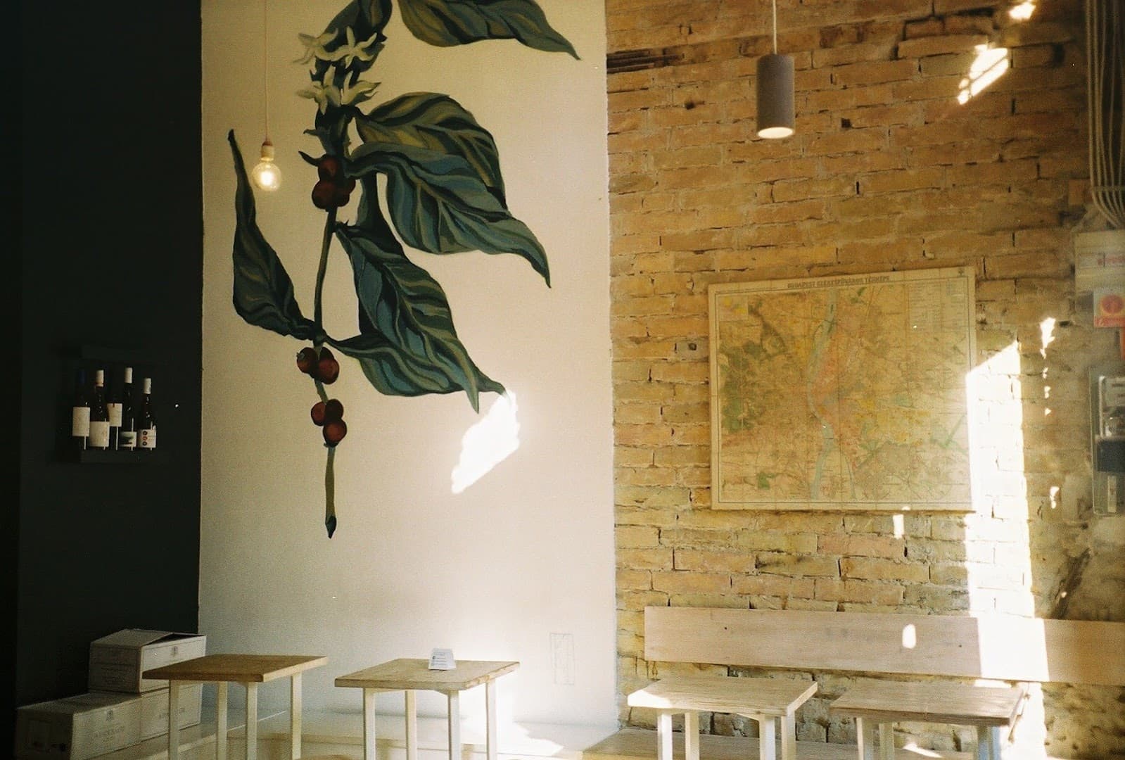 Cube Coffee Bar - specialty coffee shop - specialty coffee shop in VI. kerület