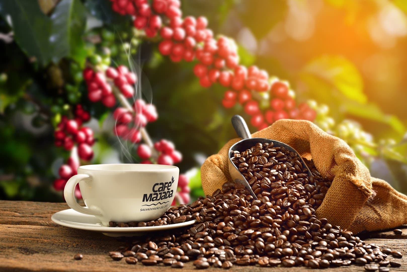 Café Majada Prague - specialty coffee shop in Prague