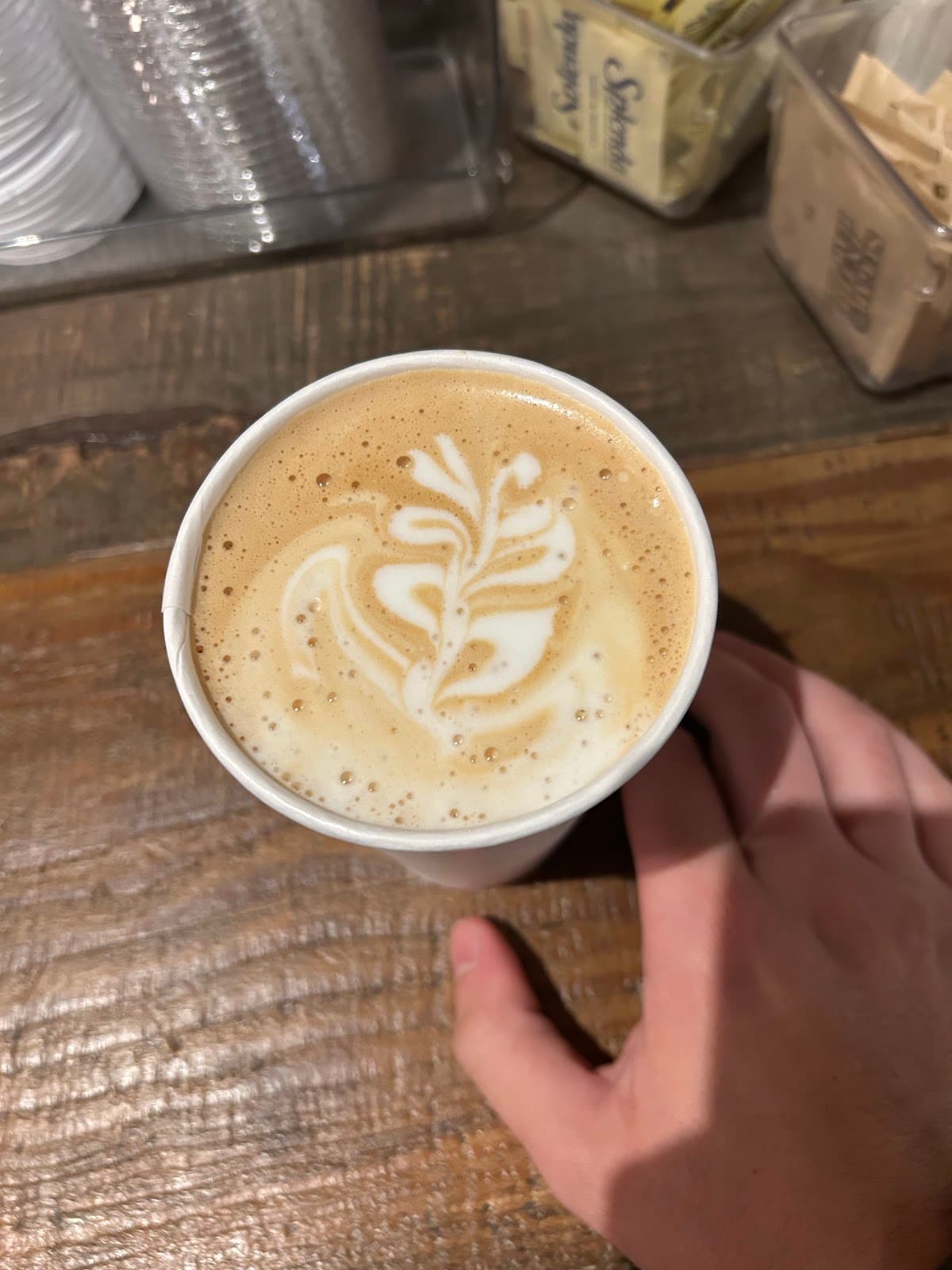 red e café roasters - specialty coffee shop in Portland