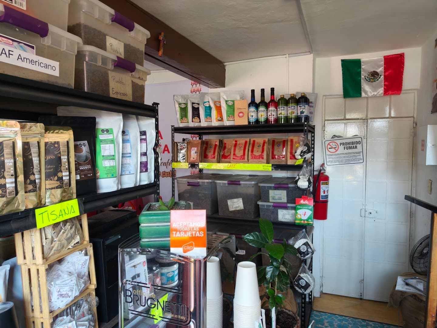 Interior of Café Finca Santa Mónica, specialty coffee shop in Mexico City